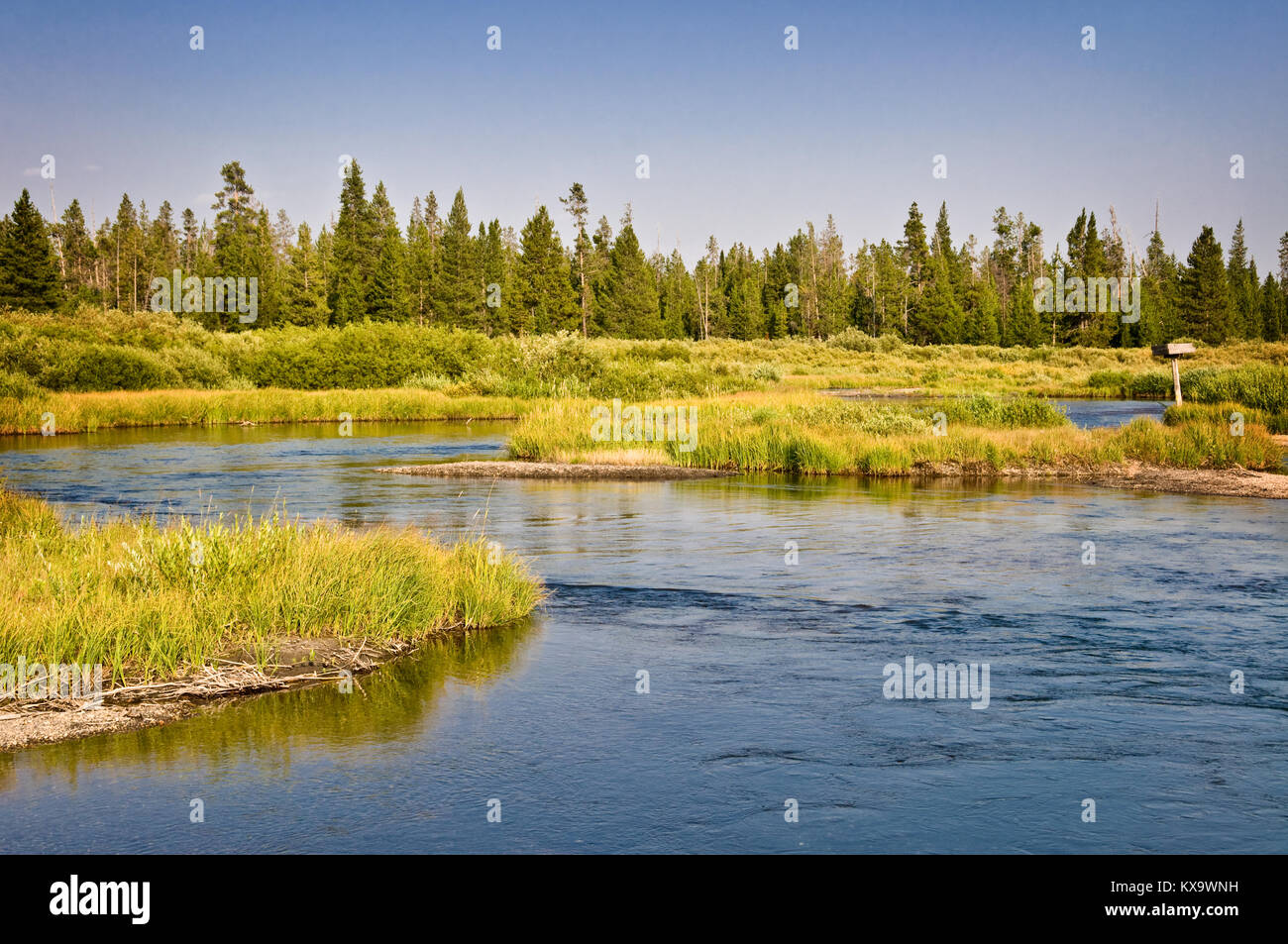 Madison River près de West Yellowstone, Montana, USA Banque D'Images