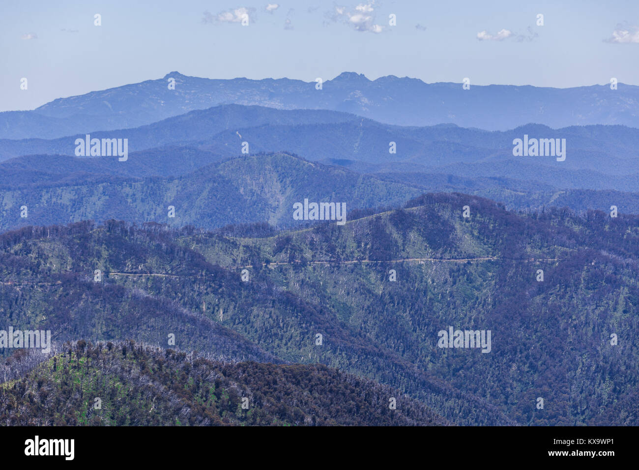 Chemin de terre passant par Alpes Australiennes sur bright summer day, Victoria, Australie Banque D'Images