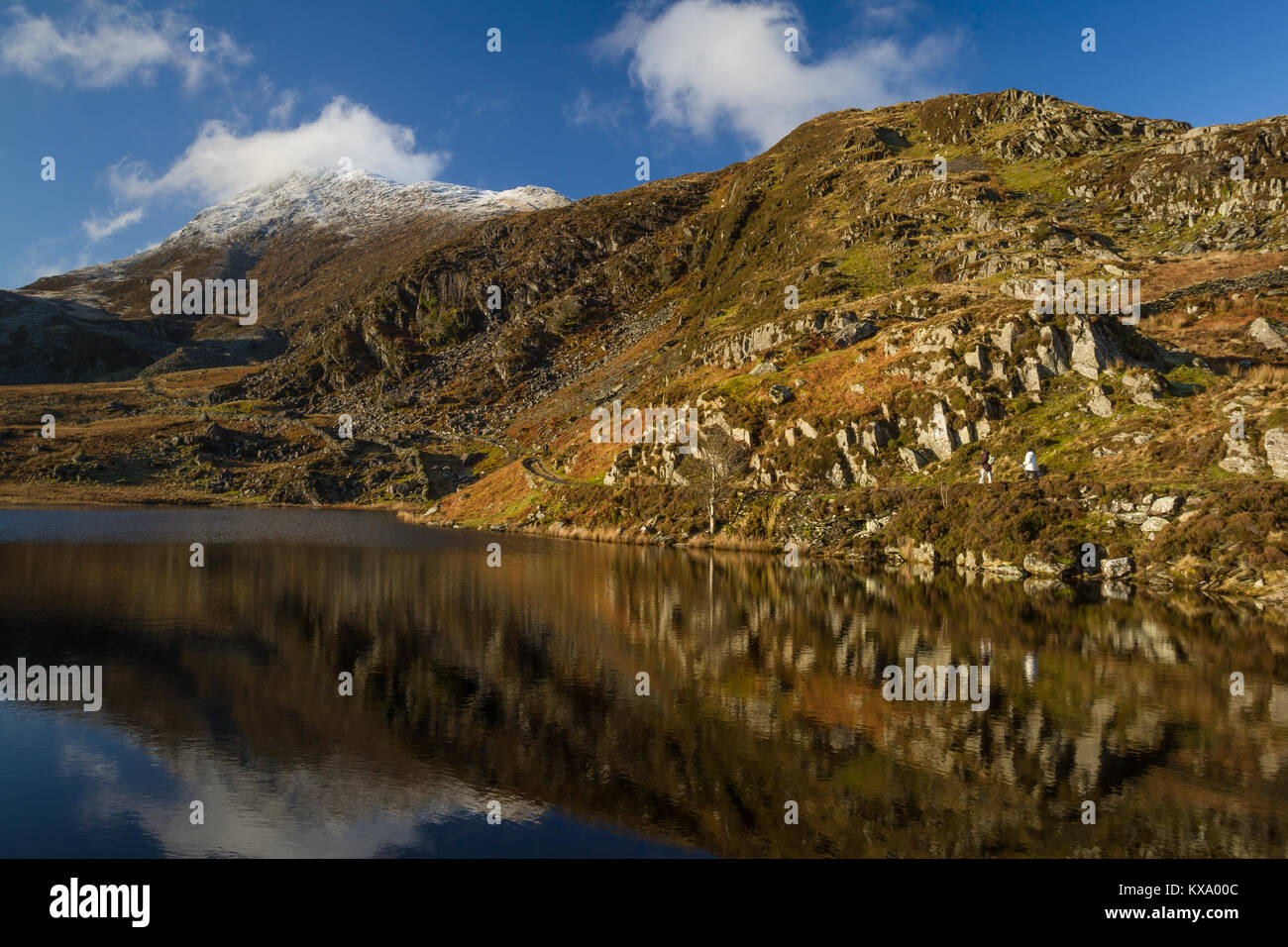 Hiver neige sur le pic de Moel Siabod, reflétée dans Llyn Foel au Parc National de Snowdonia, Pays de Galles Banque D'Images