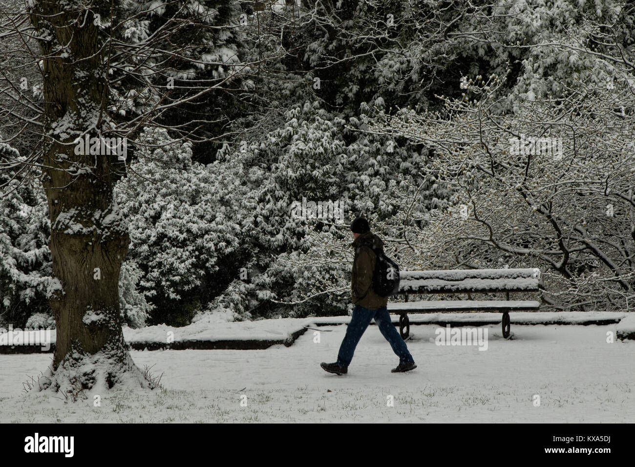 Temps de neige dans la vallée,Jardins,Harrogate North Yorkshire, Angleterre, Royaume-Uni. Banque D'Images