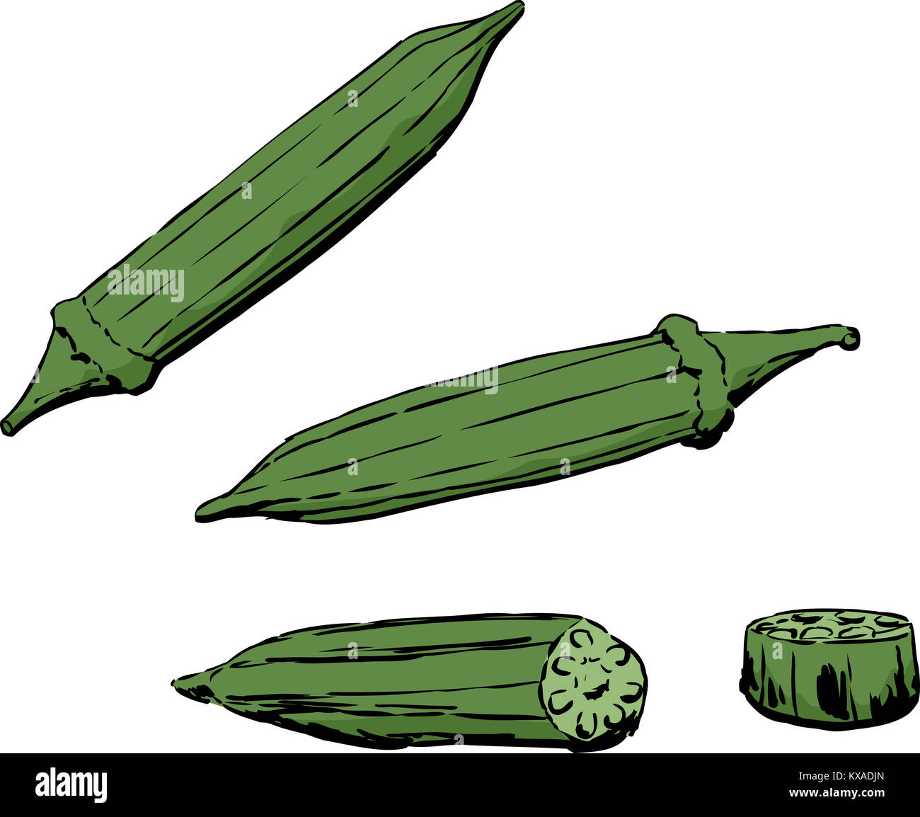 Ensemble et vue en coupe de l'okra afficheur sur fond blanc Banque D'Images