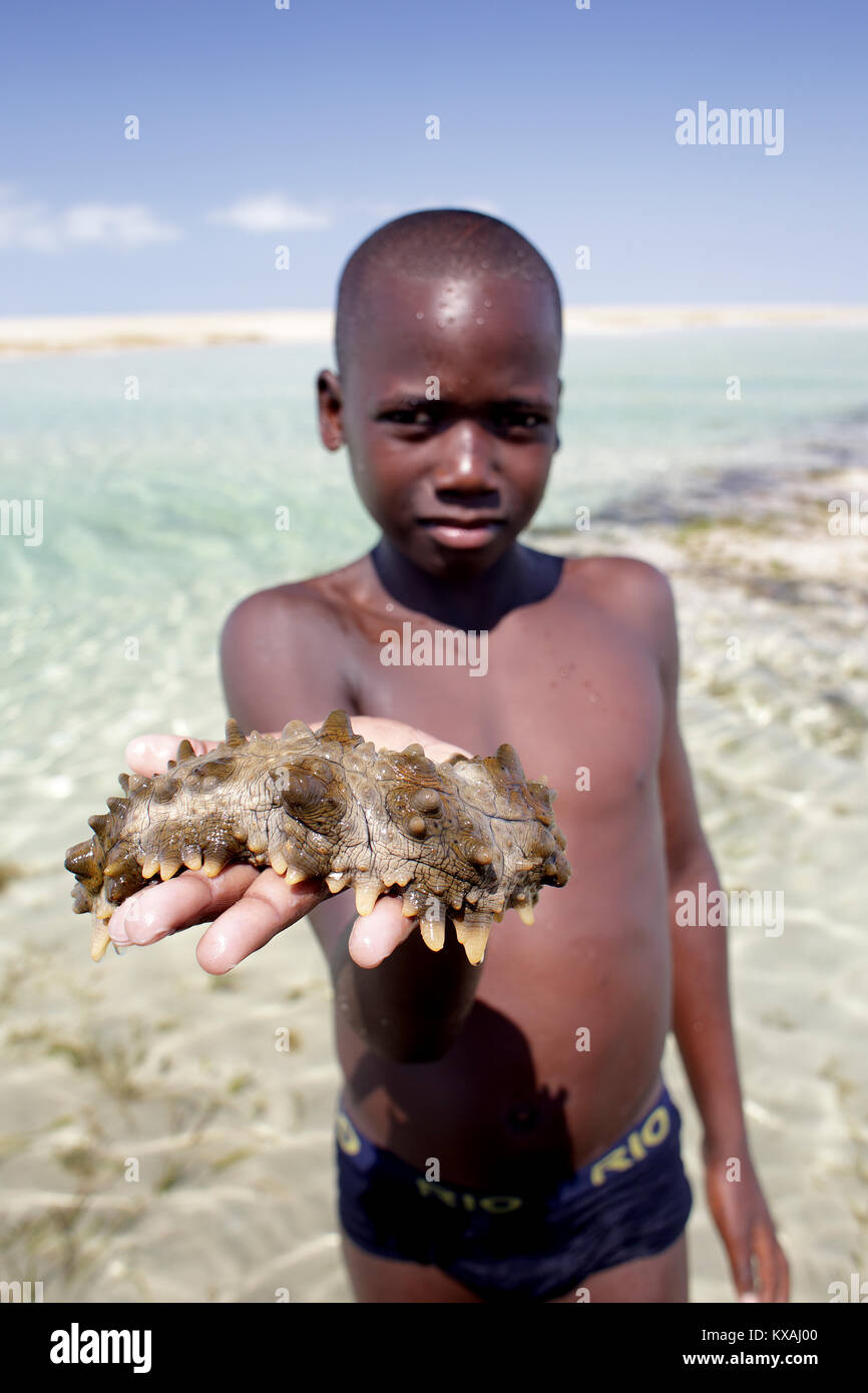 Portrait de garçon debout sur la mer et plage côtière holding slug, Mozambique Banque D'Images
