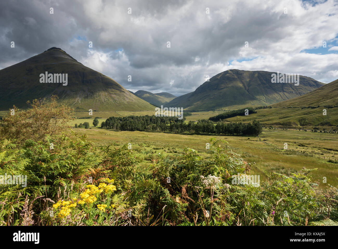 Montagne Beinn Dorain Gauche Paysage Pres De Pont De Orchy West Highlands Ecosse Grande Bretagne Photo Stock Alamy