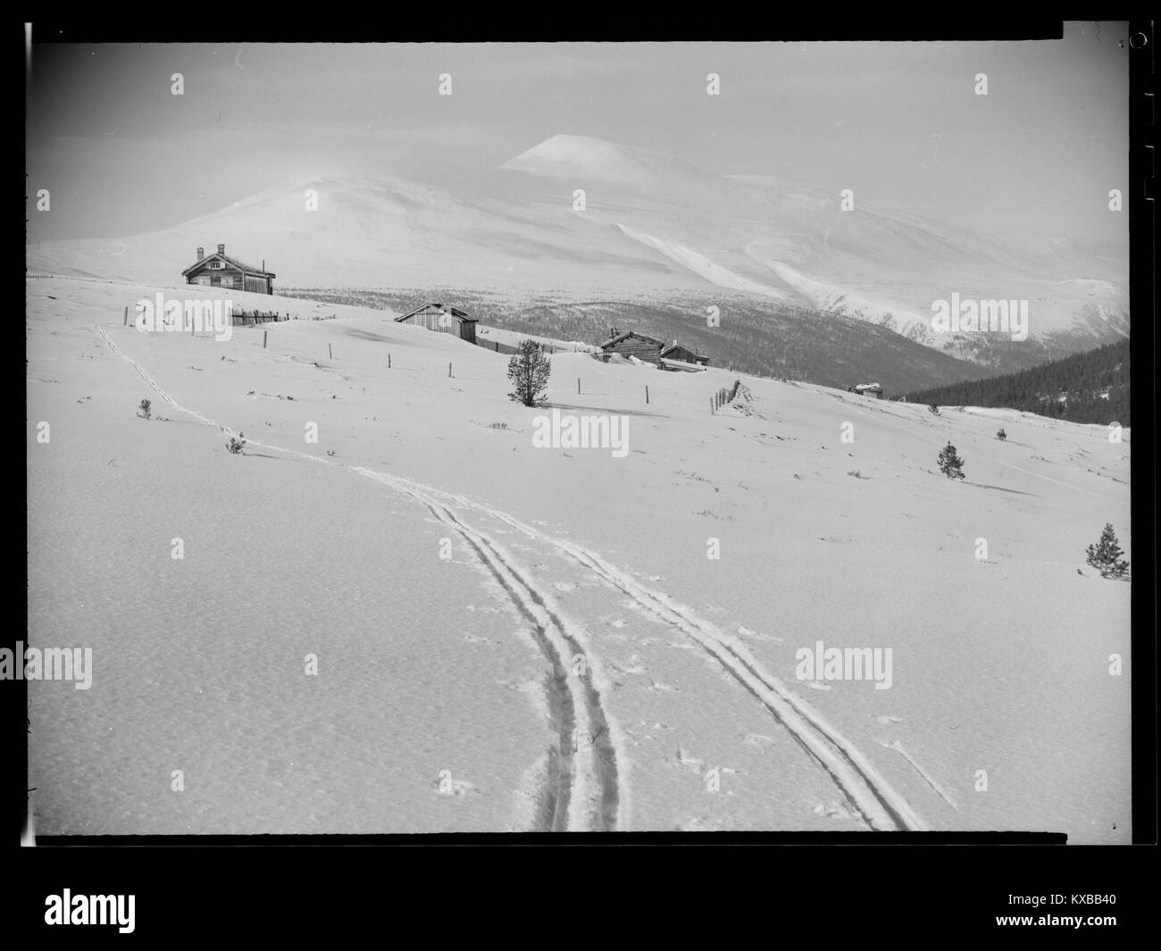 Photographie hivernale de Høvringen, Rondane, Norvège, montrant des vues des montagnes Horjen et Jetta, représentant le paysage nordique pittoresque. Banque D'Images