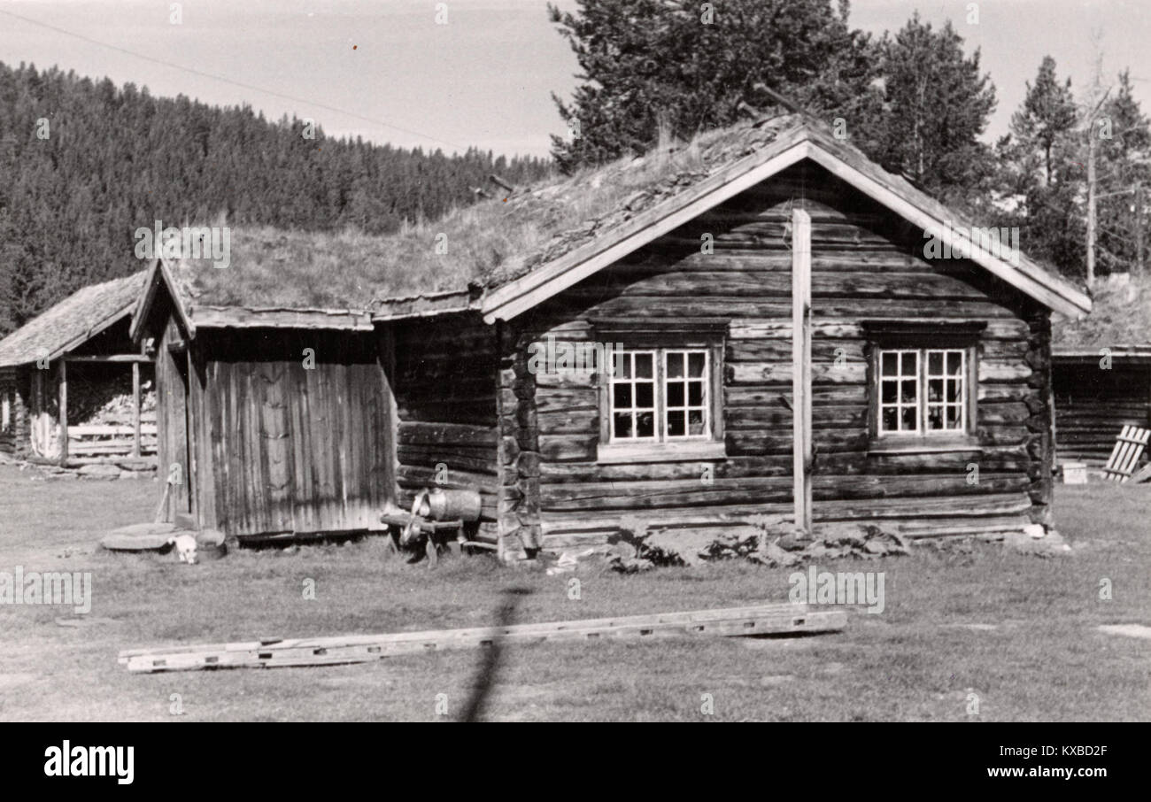 Photographie de lien Nordre à Hedmark, Norvège, montrant un paysage rural traditionnel avec des terres agricoles et des zones boisées, préservé par la Direction norvégienne du patrimoine culturel. Banque D'Images
