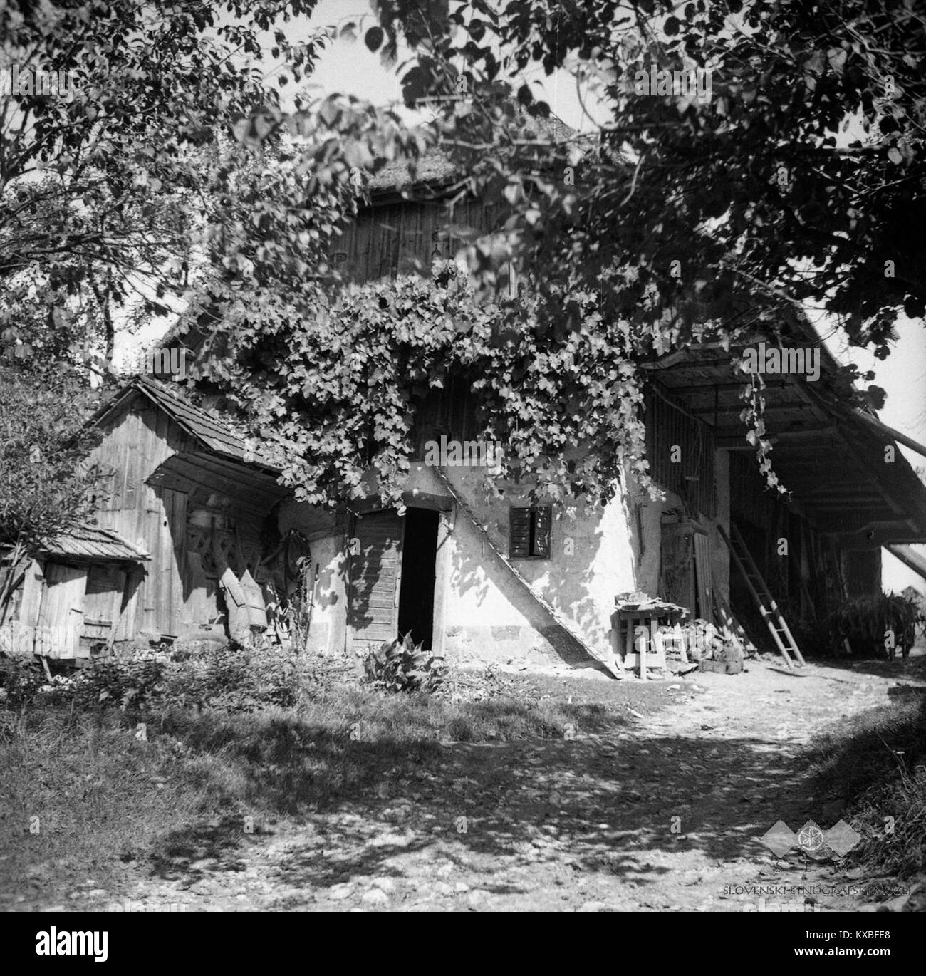Cette photographie, prise en 1950 à Dob, près de Gacjek, en Slovénie, représente une scène rurale, montrant probablement l'activité agricole ou la vie quotidienne dans la région au milieu du XXe siècle. Banque D'Images Cette photographie, prise en 1950 à Dob, près de Gacjek, en Slovénie, représente une scène rurale, montrant probablement l'activité agricole ou la vie quotidienne dans la région au milieu du XXe siècle. Banque D'Images