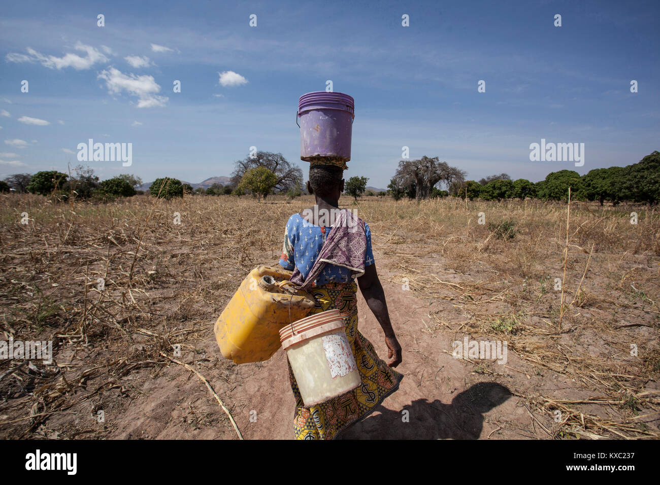 Ezeleda Mwalyenga promenades retour à l'accueil réalisation d'un seau d'eau salée sur sa tête dans la périphérie d'Idifu la région de Dodoma, Tanzanie village. Banque D'Images