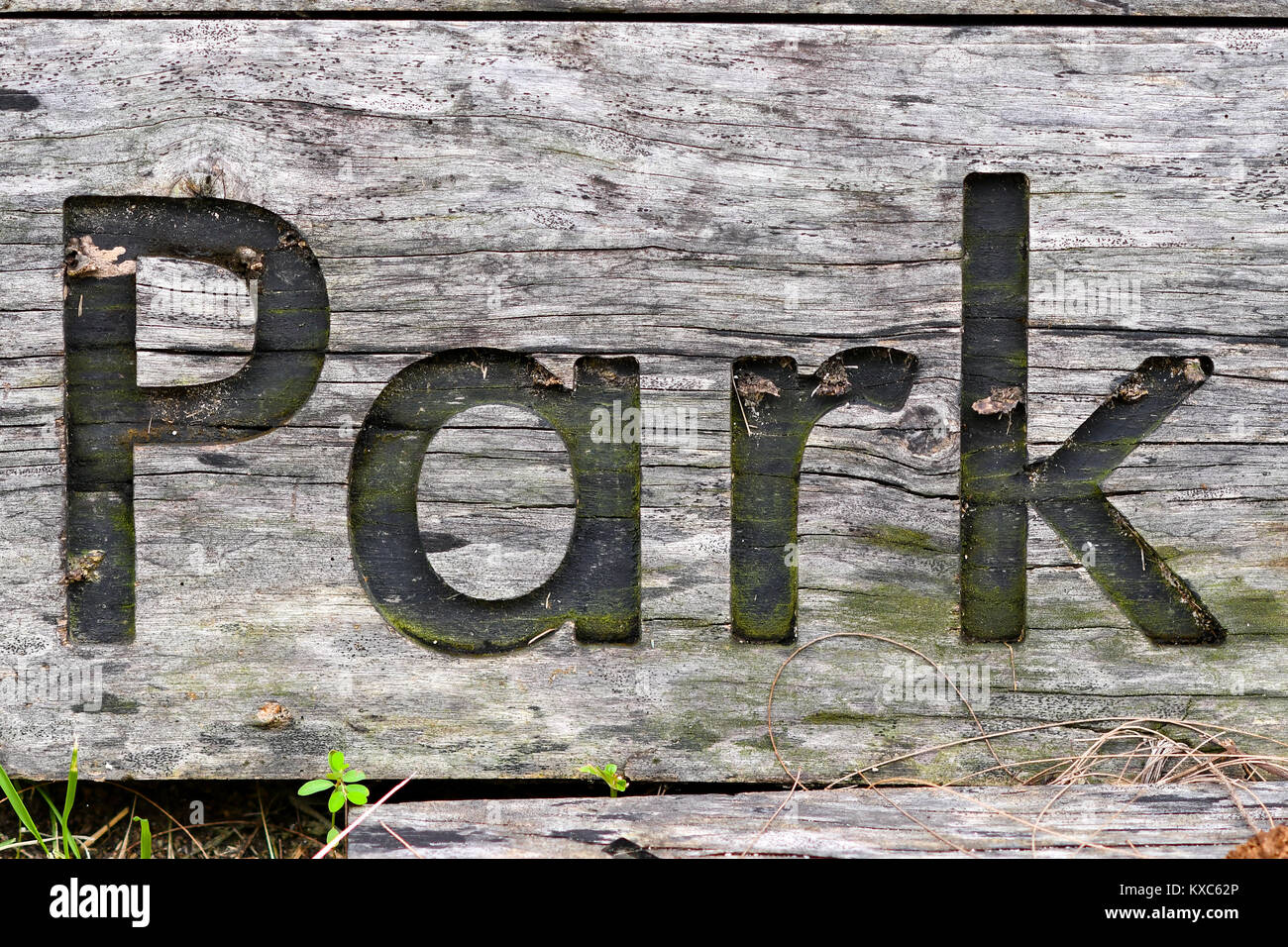 Sculpture 'Park' panneau en bois Banque D'Images