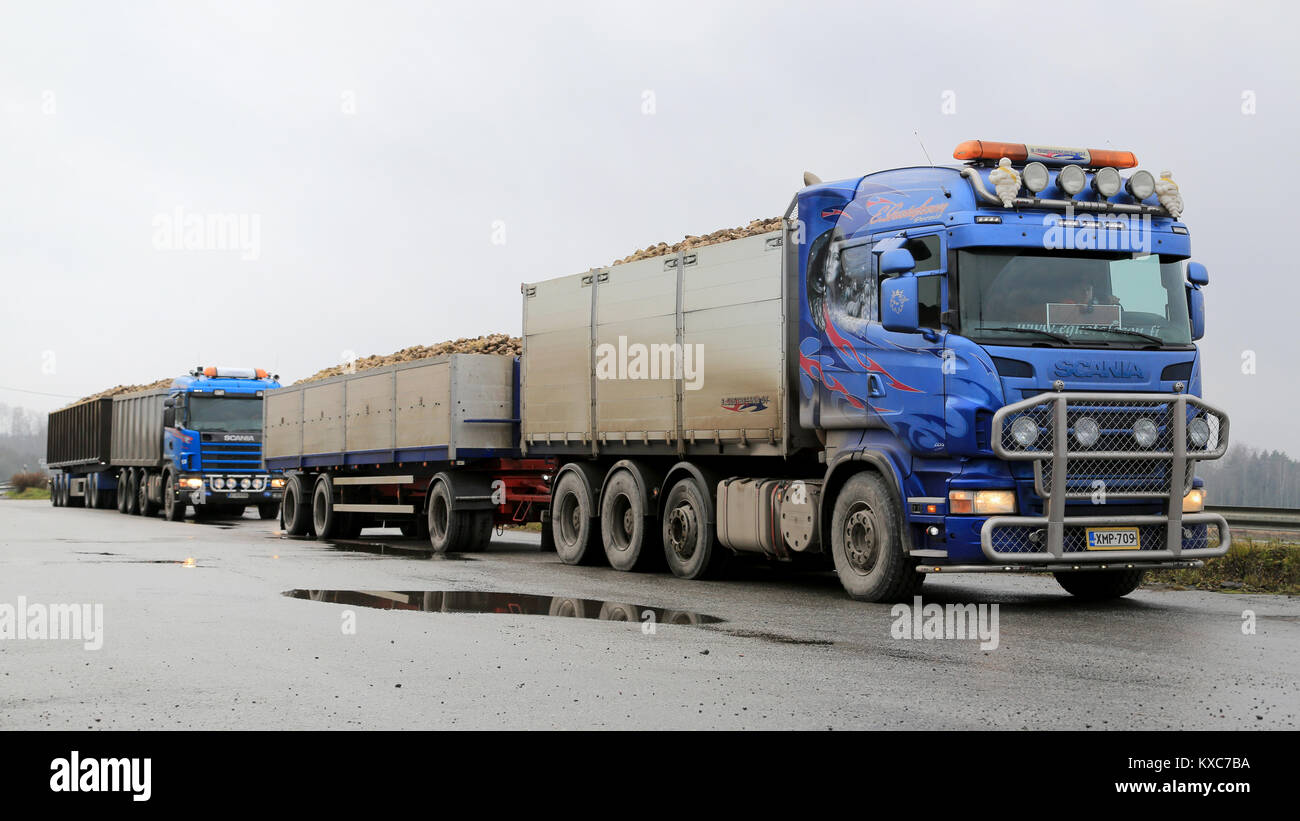 SALO, FINLANDE - le 9 novembre 2014 : Deux camions remorques Scania transporter un chargement complet de la betterave à sucre humide. Aujourd'hui qu'un seul sucre être finlandais Banque D'Images