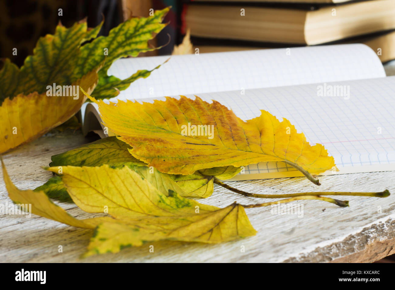 Feuilles d'automne sur un arrière-plan flou cahiers et livres Banque D'Images