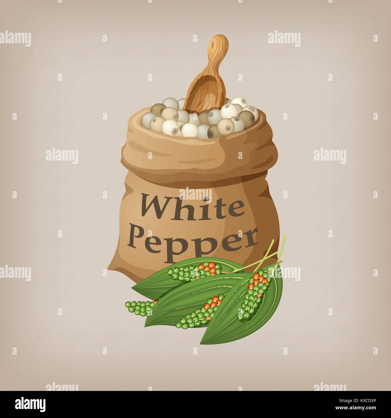 Poivre blanc du maïs dans le sac. Vector illustration Illustration de Vecteur
