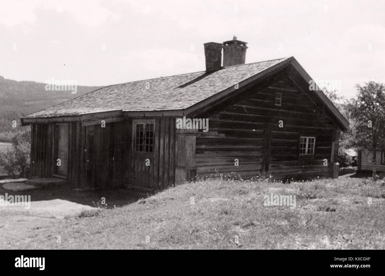 Vestgård Søndre, situé à Hedmark, en Norvège, est un site historique important. Il est remarquable pour son architecture agricole norvégienne traditionnelle et son importance culturelle, représentant le patrimoine agricole et le mode de vie rural de la région. Banque D'Images