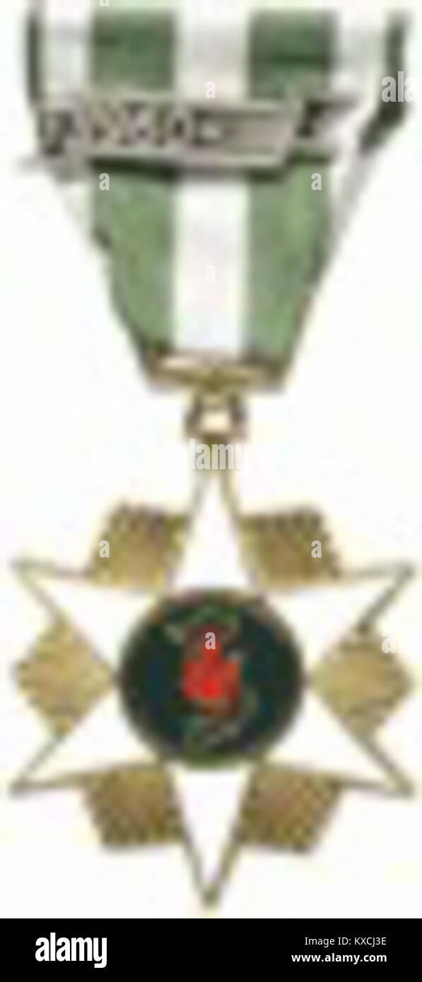 La Médaille de la campagne du Vietnam honore le personnel militaire qui a servi pendant la guerre du Vietnam. Doté d'un fermoir de 1960, il symbolise la reconnaissance du service et de l'engagement des États-Unis tout au long du conflit. Banque D'Images