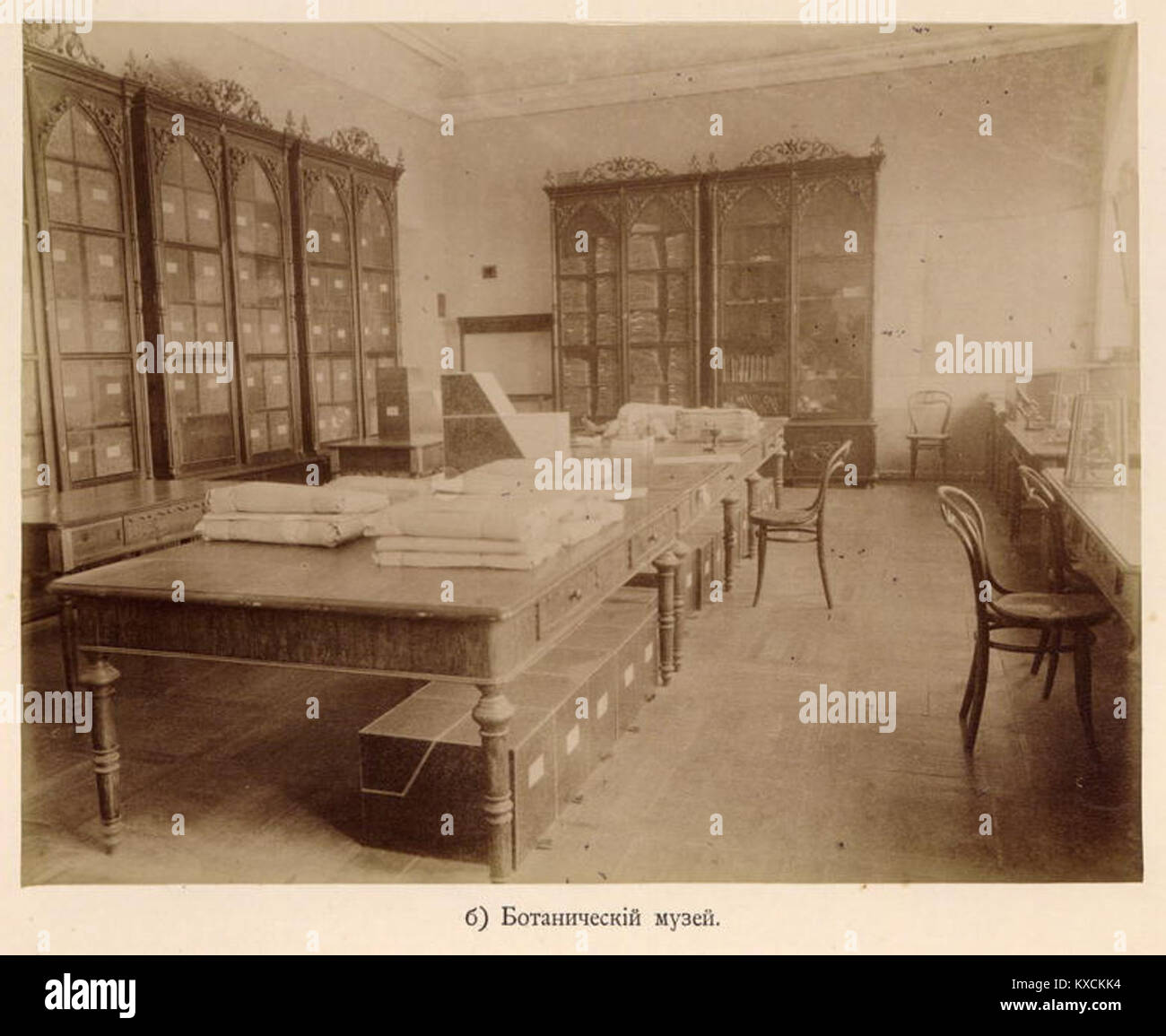 Photographie ou référence au Musée botanique, montrant une institution dédiée à l'étude et à la préservation des spécimens de plantes et à la recherche botanique. Banque D'Images