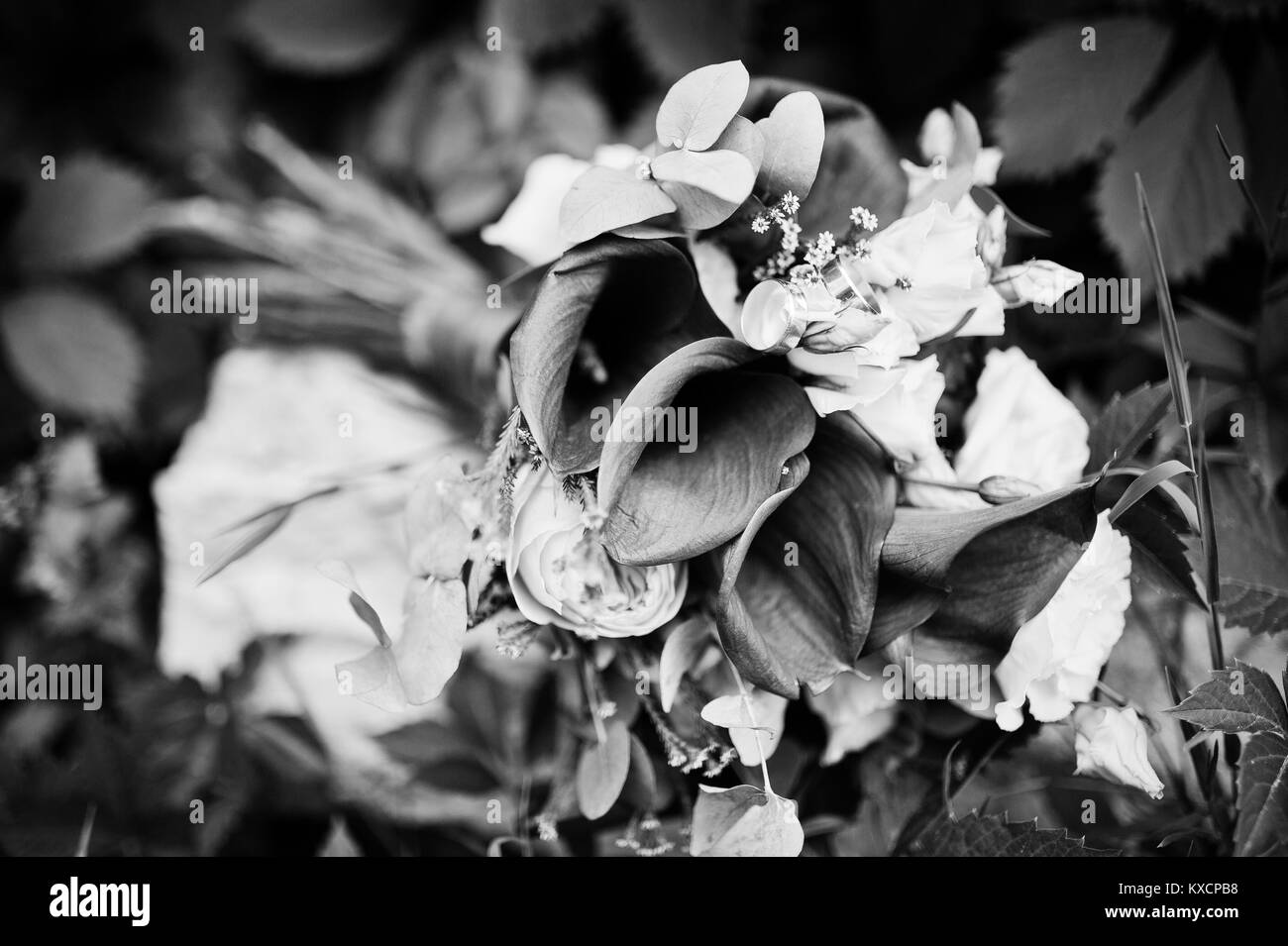 Photo en gros plan d'un bouquet de mariage faits de lis calla pourpre et d'autres fleurs. Photo en noir et blanc. Banque D'Images