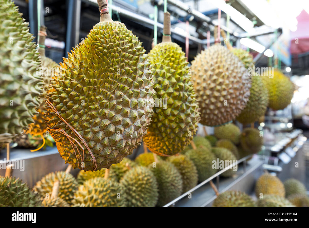 Durian asiatique frais sur la pendaison sur l'affichage en vente sur l'étal des vendeurs. Banque D'Images