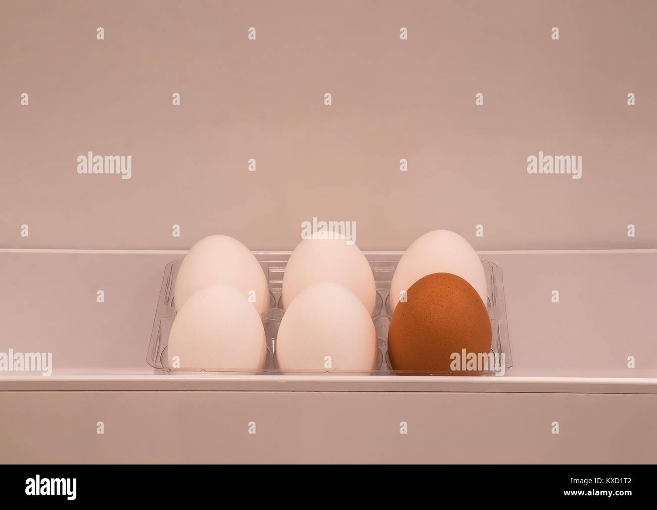 Six œufs dans un compartiment à porte du réfrigérateur, composés d'un œuf biologique brun et de cinq œufs blancs non biologiques Banque D'Images