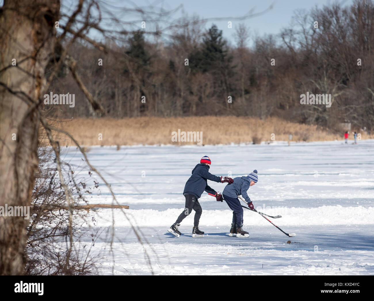 Jouer au hockey sur glace sur un étang sur une froide journée d'hiver Banque D'Images