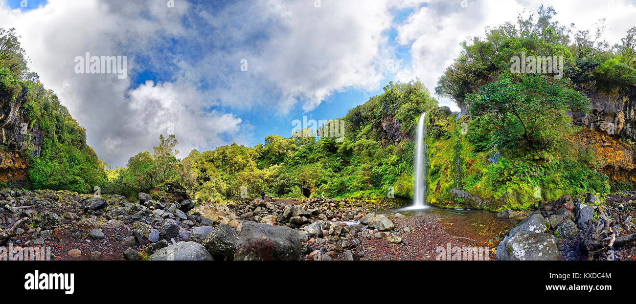 Vue panoramique 360° du Dawson Falls cascade au milieu d'une forêt tropicale,Dawson Falls Banque D'Images