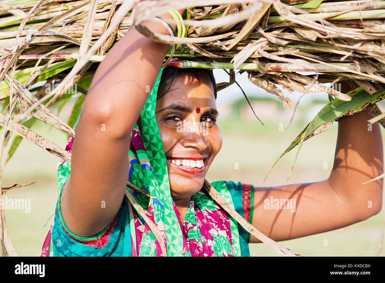 Heureux villageois Rural Indien Femme portant sur la tête des mauvaises herbes Farm Banque D'Images