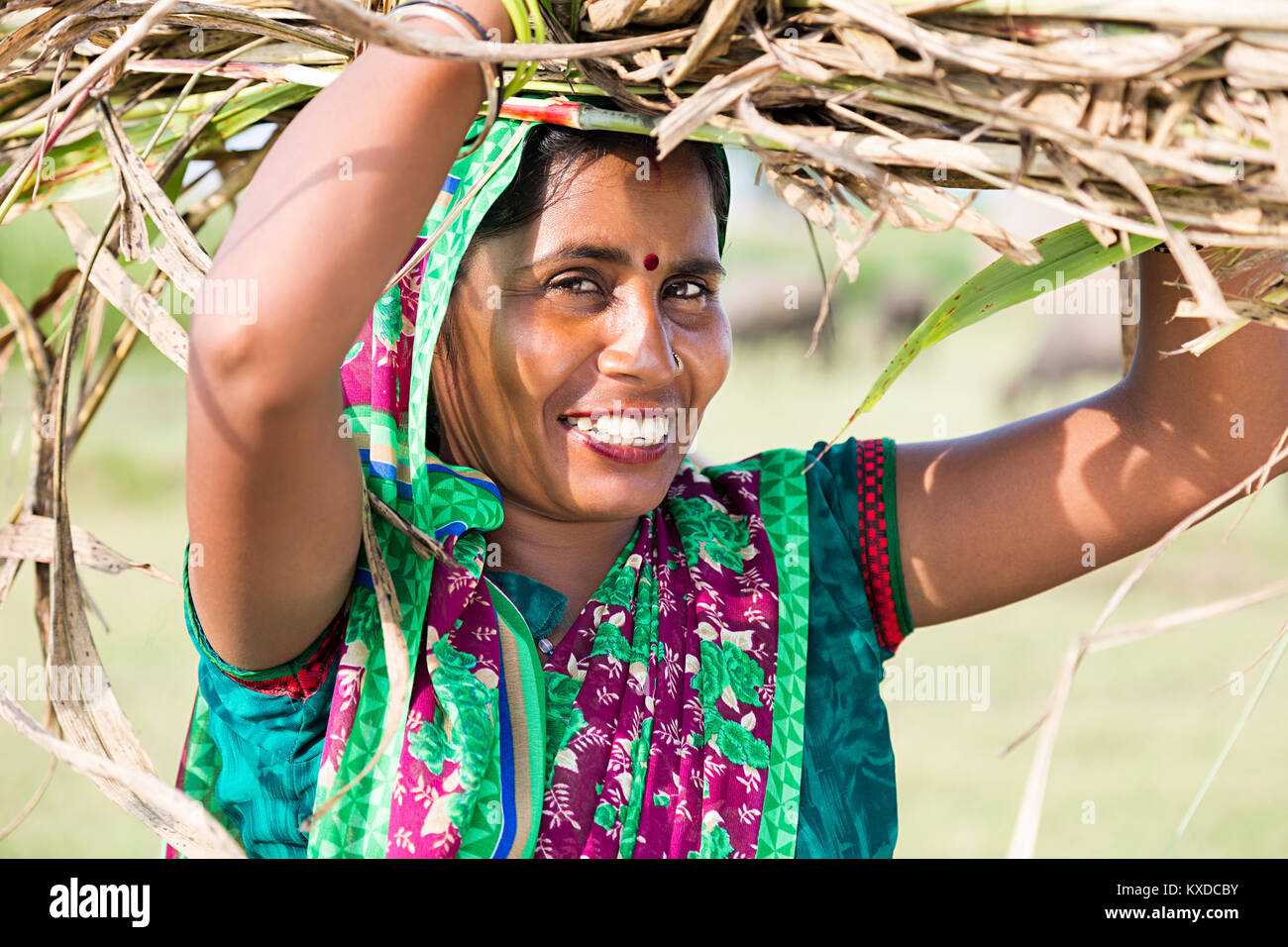 1 villageois ruraux indiens Dame transportant sur la tête des mauvaises herbes Bouquet Banque D'Images