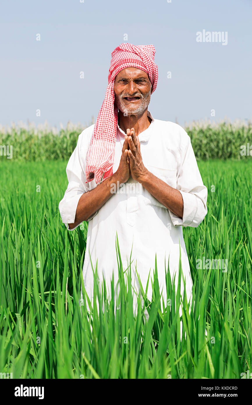 1 agriculteurs indiens vieil homme mains jointes Namaste Domaine Village Banque D'Images