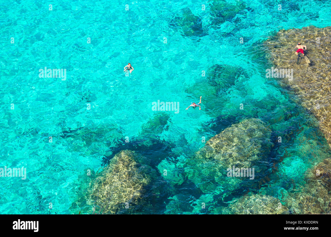 La natation de personnes dans les eaux émeraude de Cala Mitjana Menorca,Espagne,Iles Baléares Banque D'Images