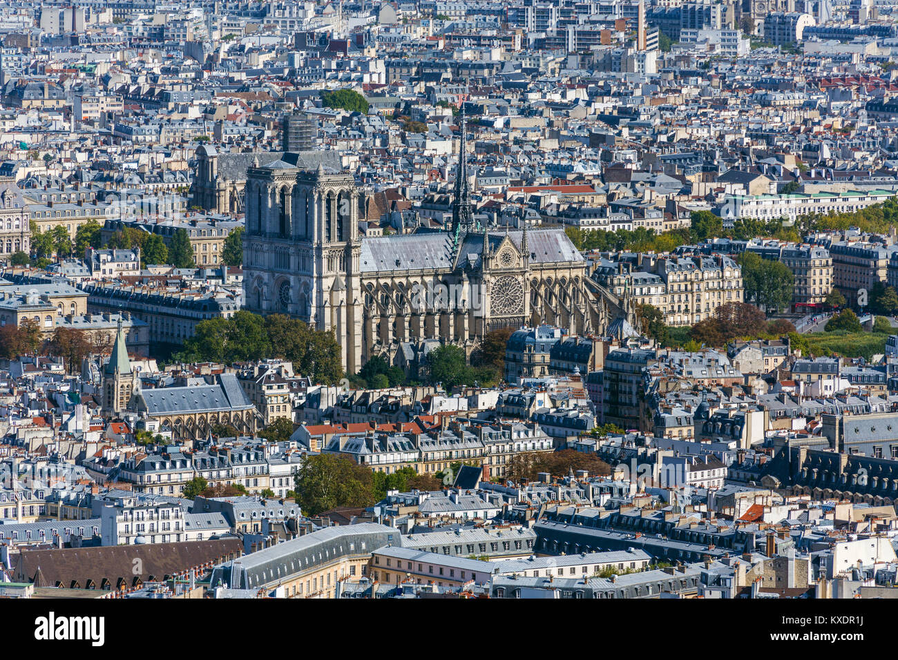 Vue sur la ville avec cathédrale Nôtre Dame, Paris, France Banque D'Images