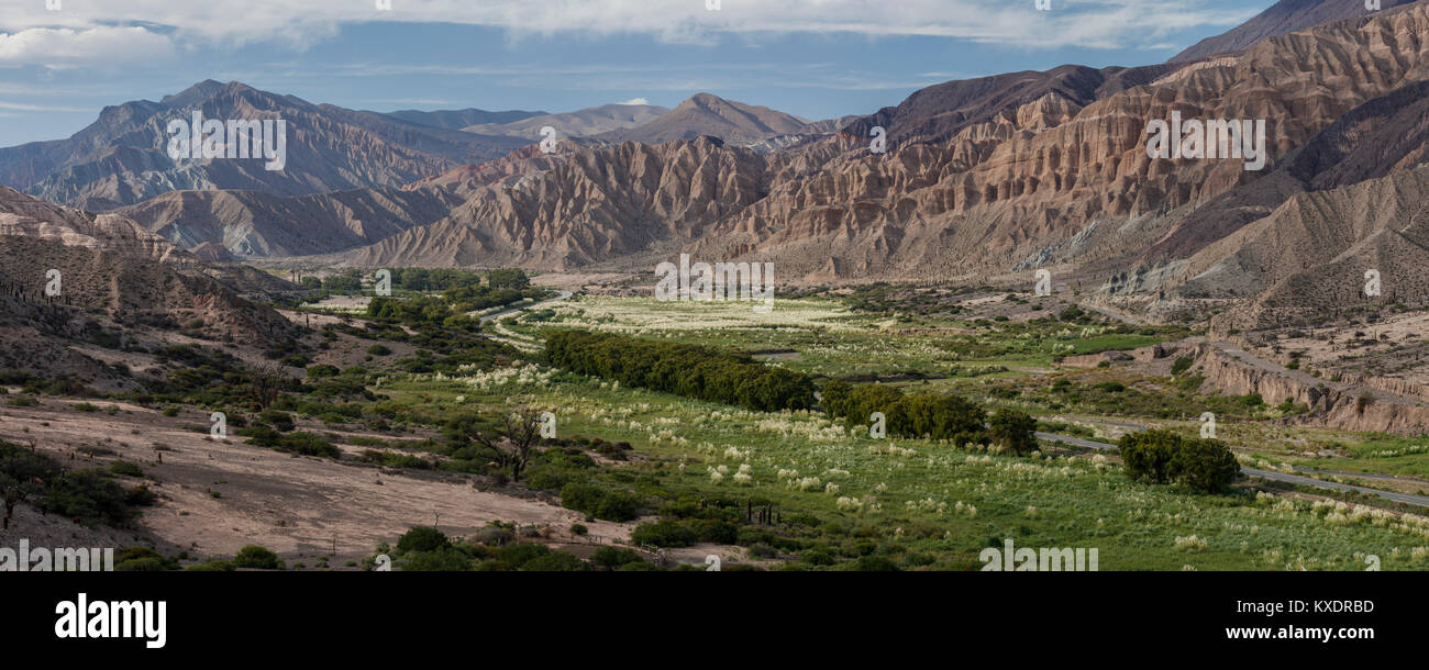 Vallée Verte dans un étrange paysage de montagne, plateau, Cachi, Rosario de Lerma, province de Salta, Argentine Banque D'Images