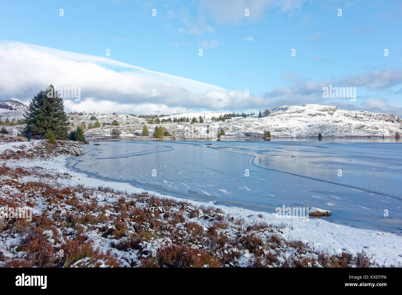 Loch Ordie, près de Dunkeld, Perthshire en hiver Banque D'Images