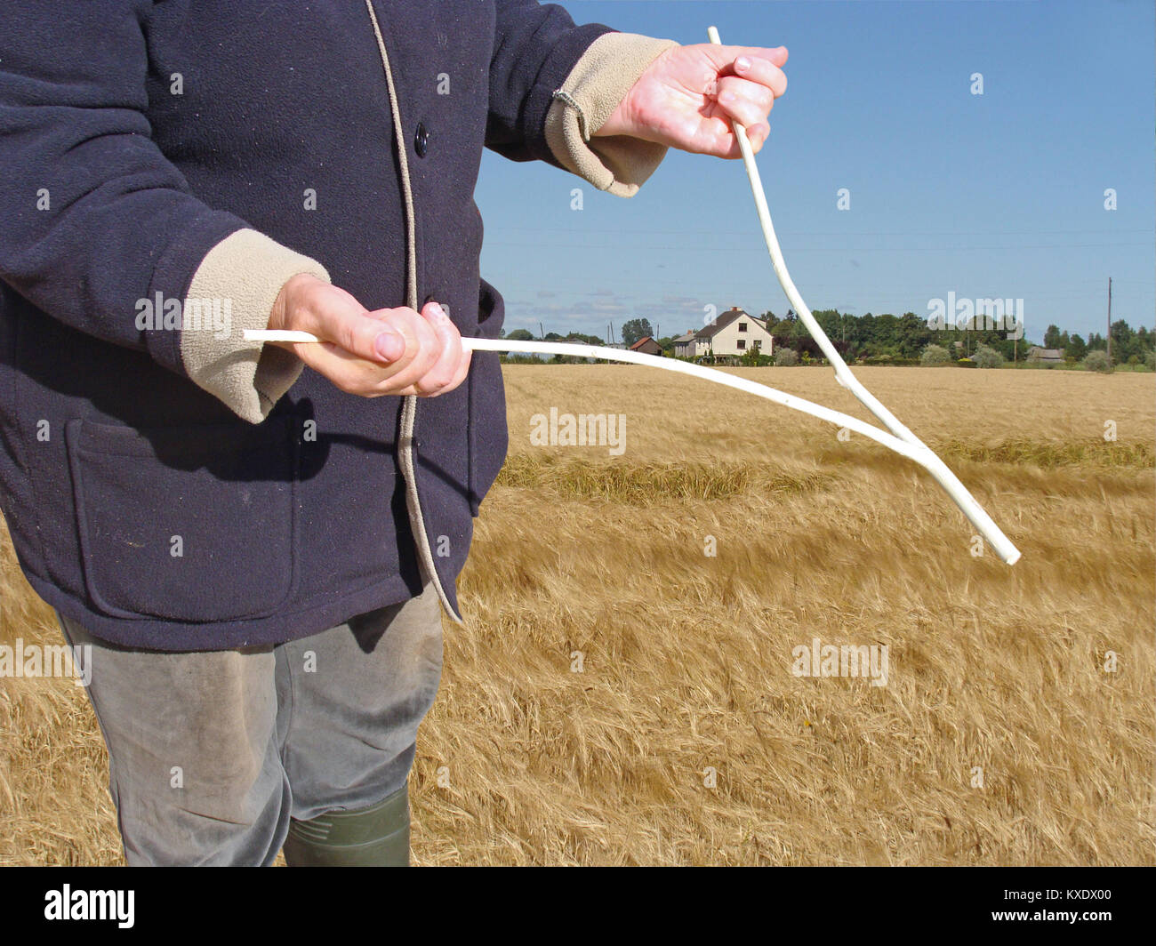 Avec de l'eau souterraine recherche radiesthésique en bois ou tige devinante Banque D'Images