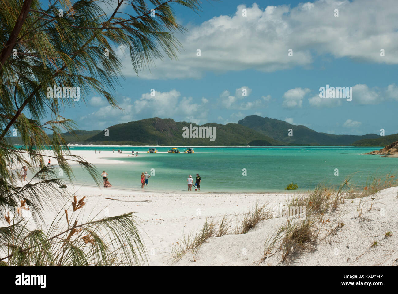 Sable blanc immaculé de Whitehaven Beach, Whitsundays, Queensland avec une mer émeraude, Mer de corail, bleu du ciel et les gens dans la distance le bain. Banque D'Images