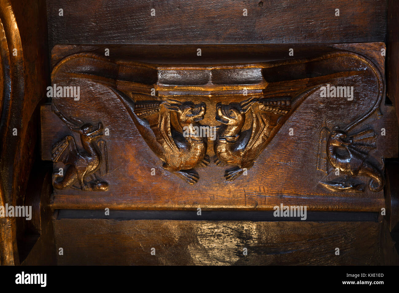 Royaume-uni, Angleterre, Cheshire, Nantwich, St Mary's Church, chorale, 14e siècle sculptée médiévale Dragons misericord Banque D'Images