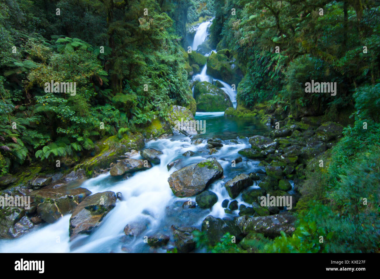 Mackay spectaculaires chutes dans la forêt sauvage du Parc National de Fiordland, Nouvelle-Zélande Milford Track Great Walk Banque D'Images