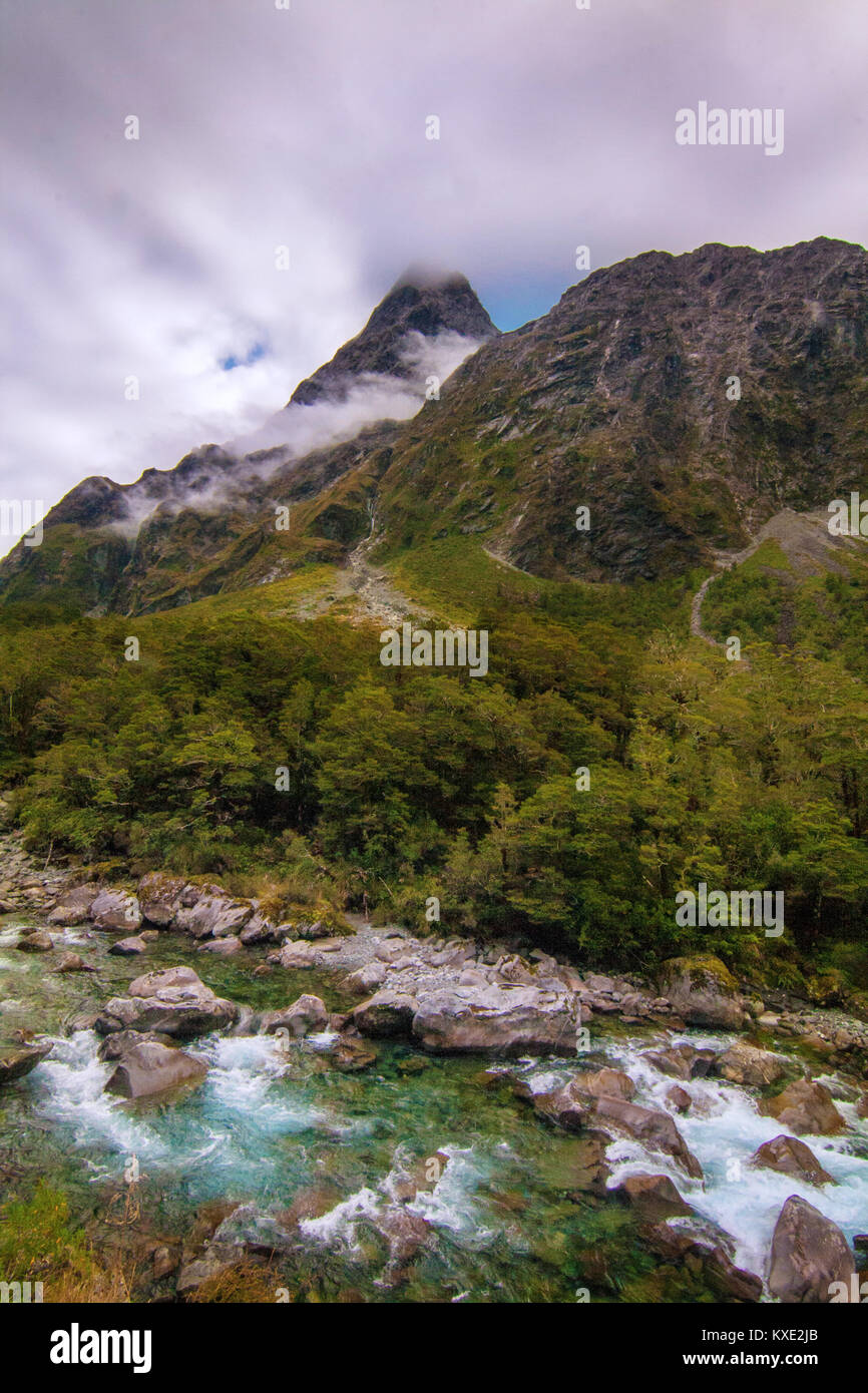Rivière de montagne sauvages sur la route du Parc National de Fiordland Milford Banque D'Images