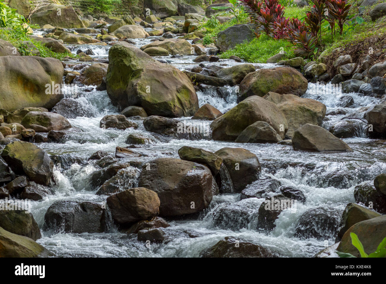 Une petite rivière / ruisseau coule rapidement sur de grosses roches et cailloux avec vert sain de la végétation dans l'arrière du terrain. Banque D'Images