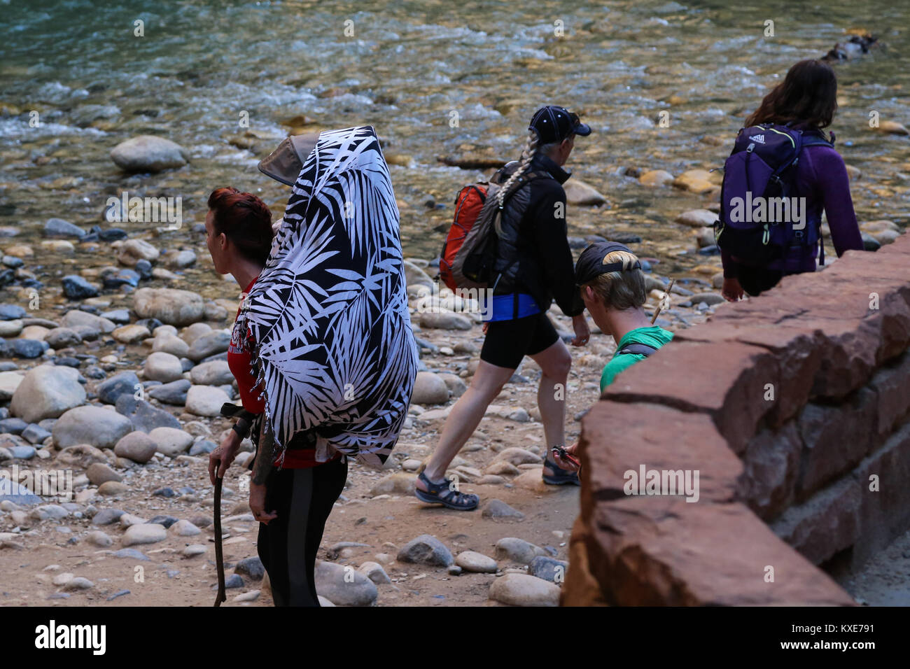 Une scène le long du chemin de randonnée dans la région de Zion Canyon Banque D'Images