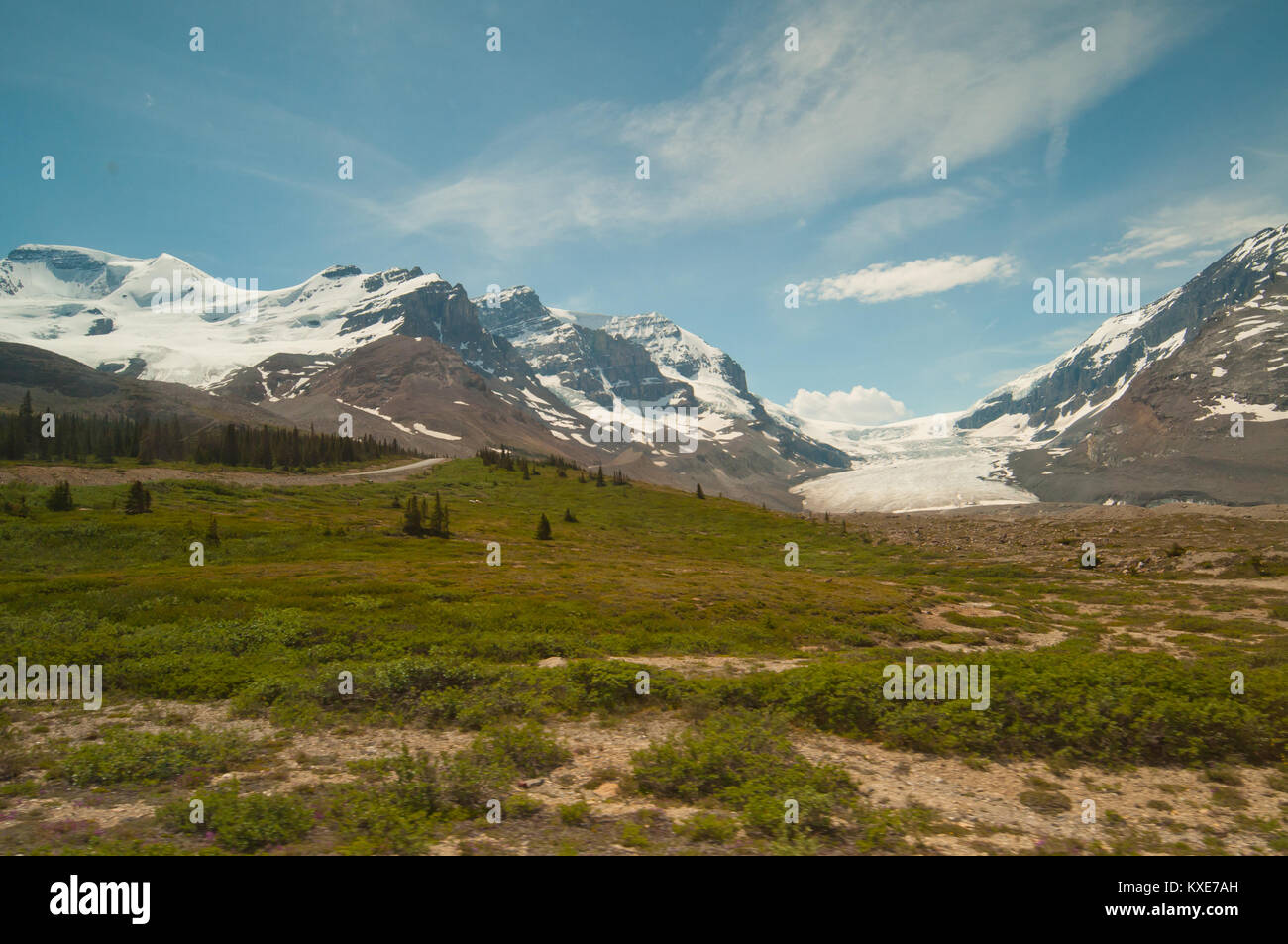 Vue paysage de glacier Athabasca entre les montagnes enneigées. Banque D'Images