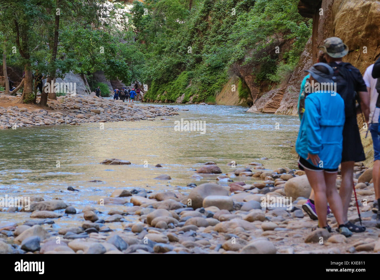 Le fameux Narrows, dans le Nord de Zion Canyon où les crues éclair se produisent parfois. Banque D'Images