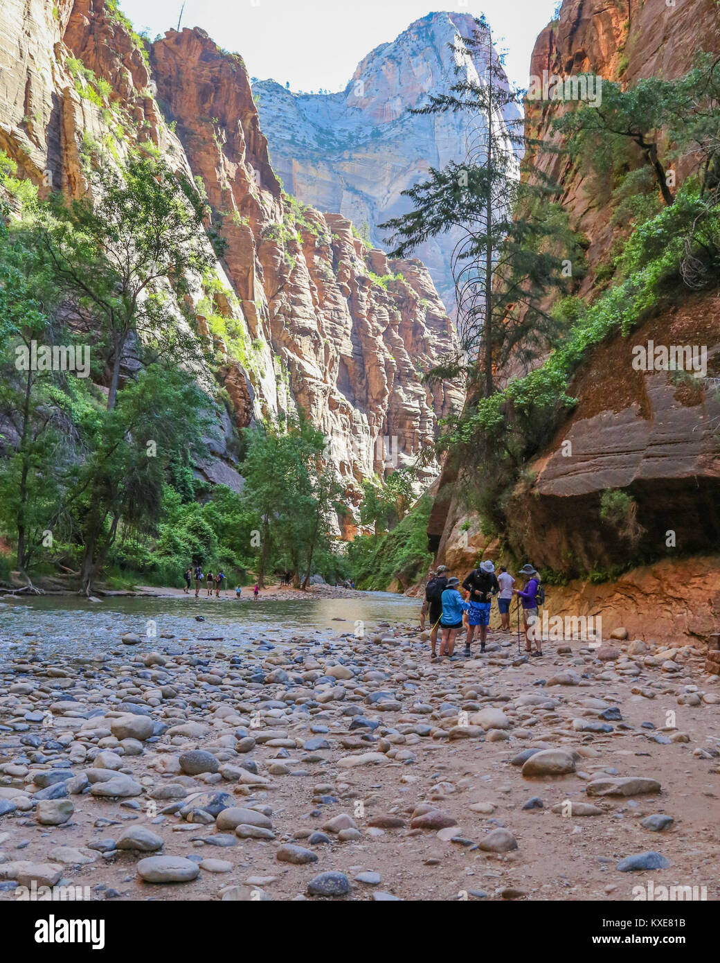 Le fameux Narrows, dans le Nord de Zion Canyon où les crues éclair se produisent parfois. Banque D'Images