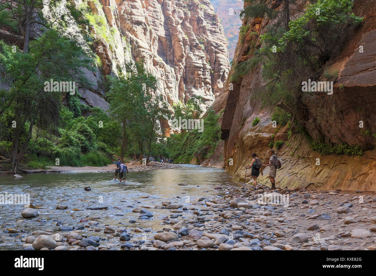 Le fameux Narrows, dans le Nord de Zion Canyon où les crues éclair se produisent parfois. Banque D'Images
