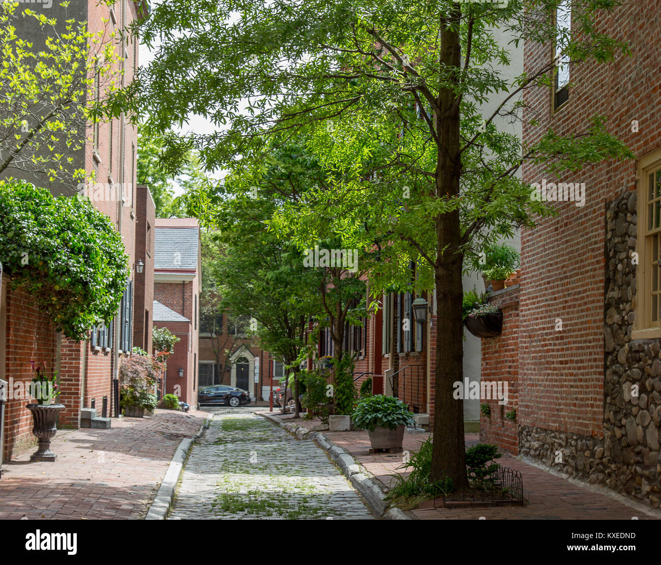 Philadelphie Pa. Rue historique en pierre de pierre de galet dans la section Society Hill de la ville. Banque D'Images