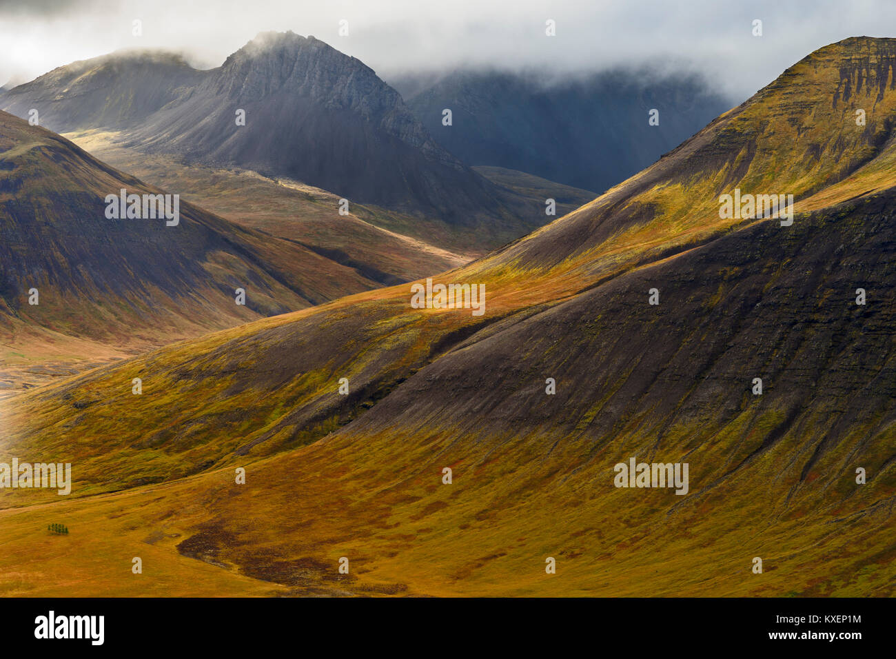 Atmosphère trouble en face de la montagne en couleurs de l'automne, l'Islande Westfjords Banque D'Images