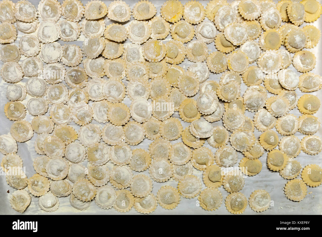 Propagation de raviolis sur le papier parchemin, Bade-Wurtemberg, Allemagne Banque D'Images
