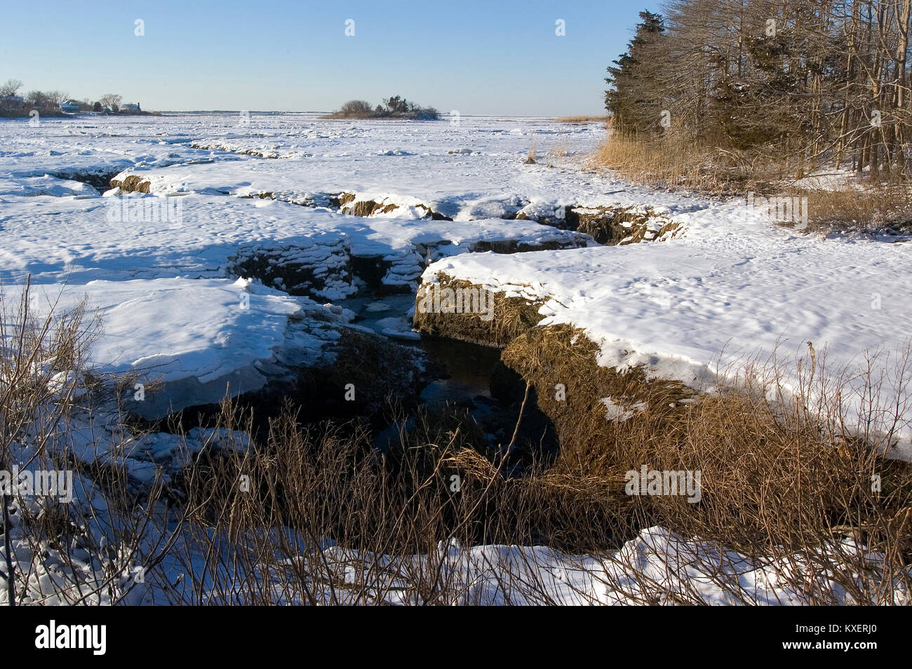 Un marais d'hiver dans la section de Barstable Cummaquid, Massachusetts à Cape Cod, USA Banque D'Images