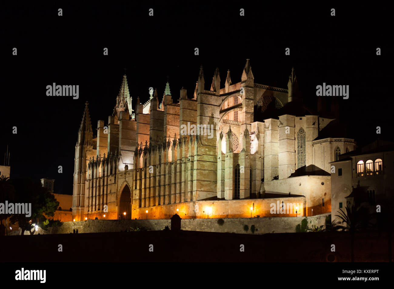 Vue nocturne de Palma de Majorque, La Cathédrale La Seu, du Parc de la Mar Palma, Majorque, Espagne Banque D'Images