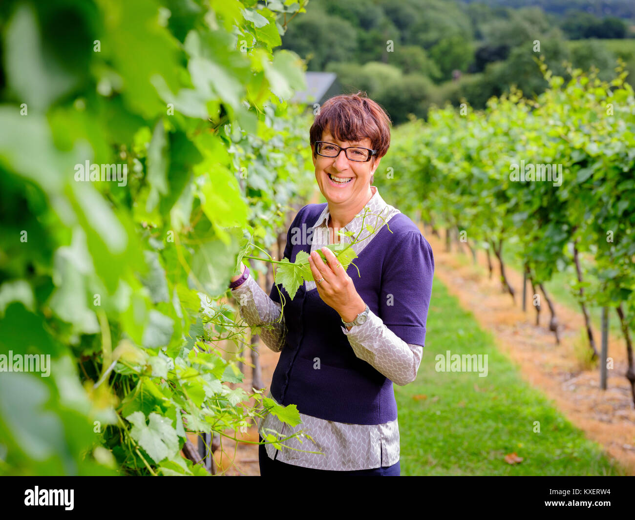 Sam tête Linter vinificateur et MD au domaine viticole Bolney près de Haywards Heath, West Sussex. Banque D'Images