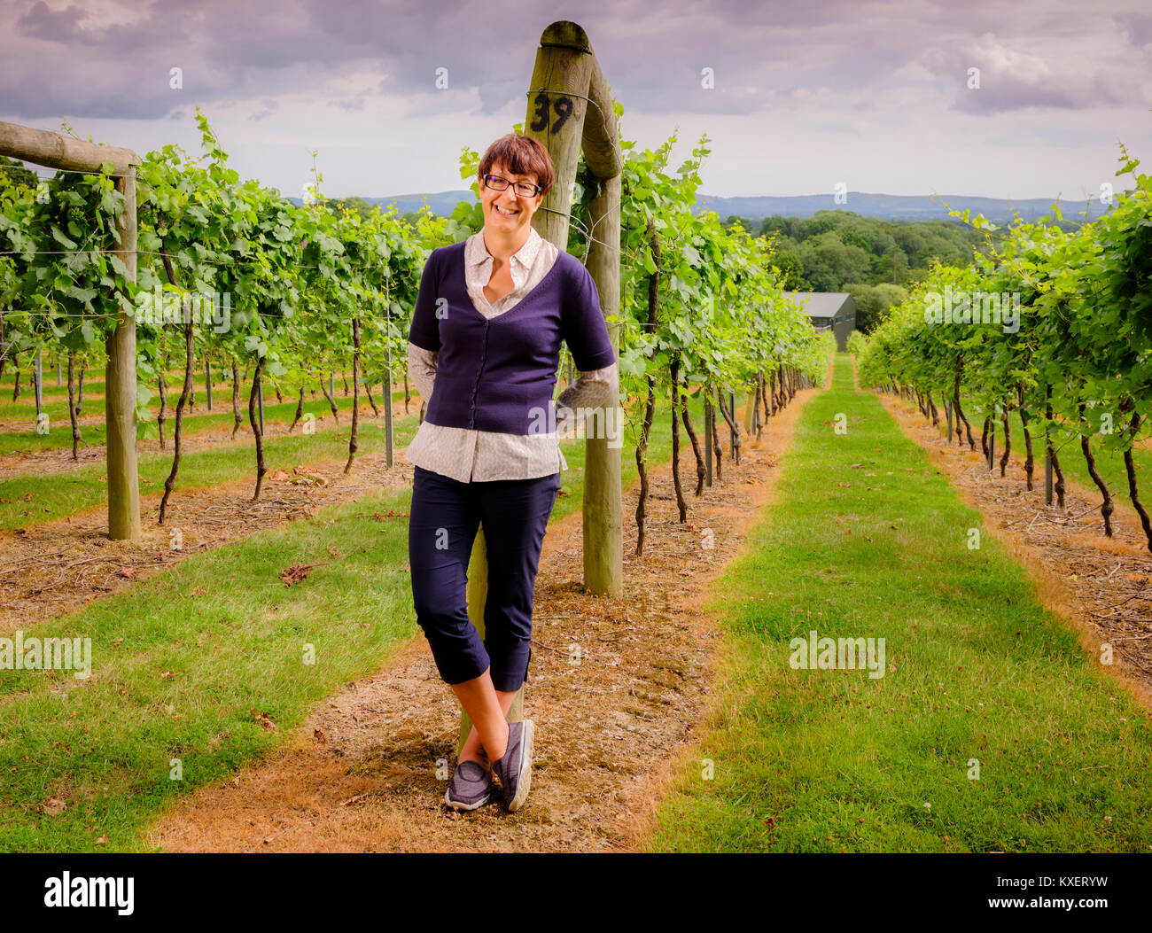 Sam tête Linter vinificateur et MD au domaine viticole Bolney près de Haywards Heath, West Sussex. Banque D'Images