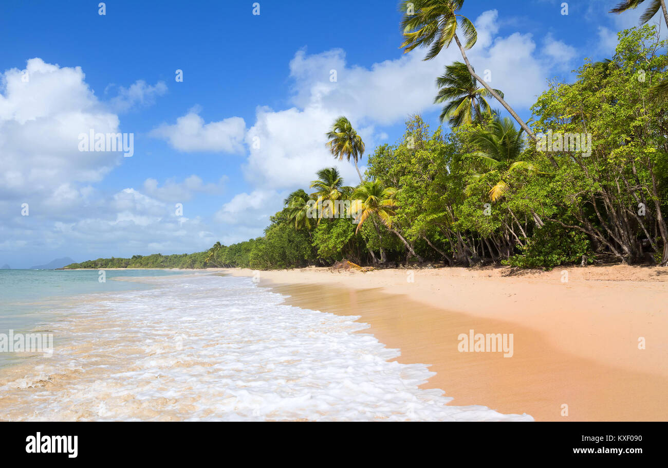 La plage des Caraïbes , la Martinique. Banque D'Images