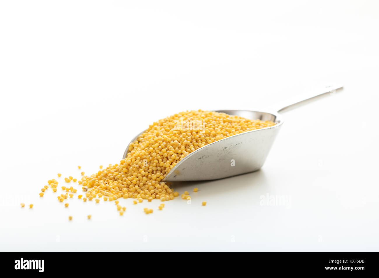 Millet dans une boule métallique sur fond blanc Banque D'Images